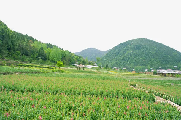 绿色美景免抠