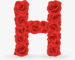 红色花朵字母免抠