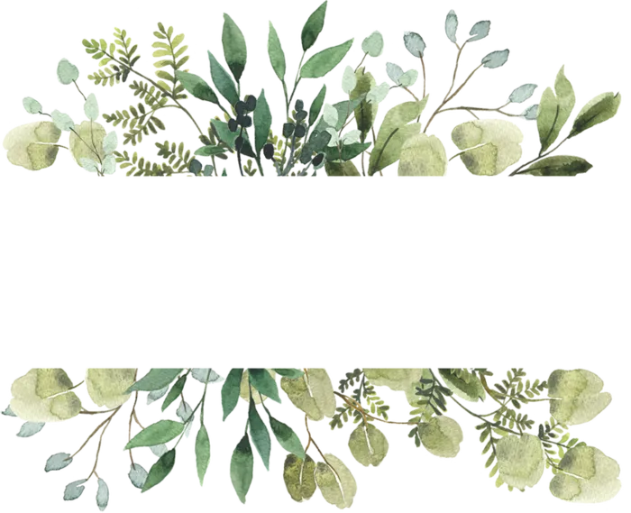 绿色,清新,边框，高清