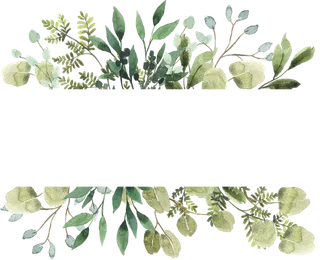 绿色,清新,边框，高清