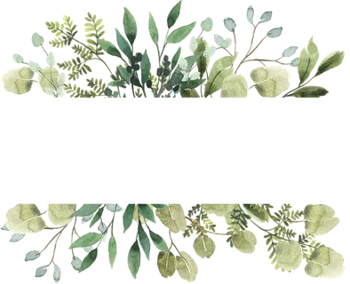 绿色,清新,边框,高清 绿色,清新,边框,高清