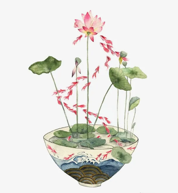 碗中的莲花免抠