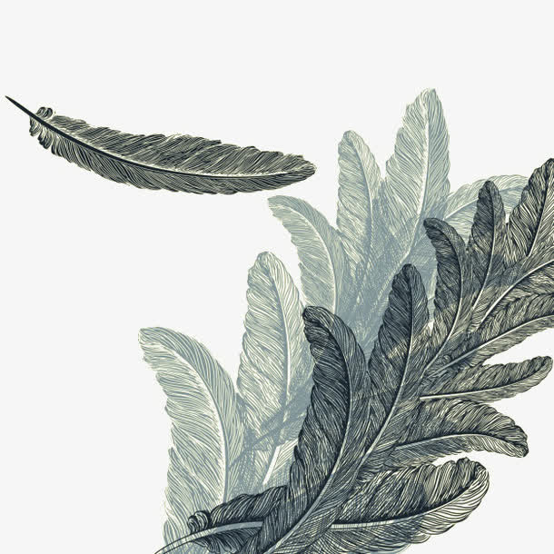 羽毛背景设计