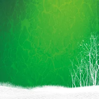 纹理圣诞节  树 绿色海报背景素材高清