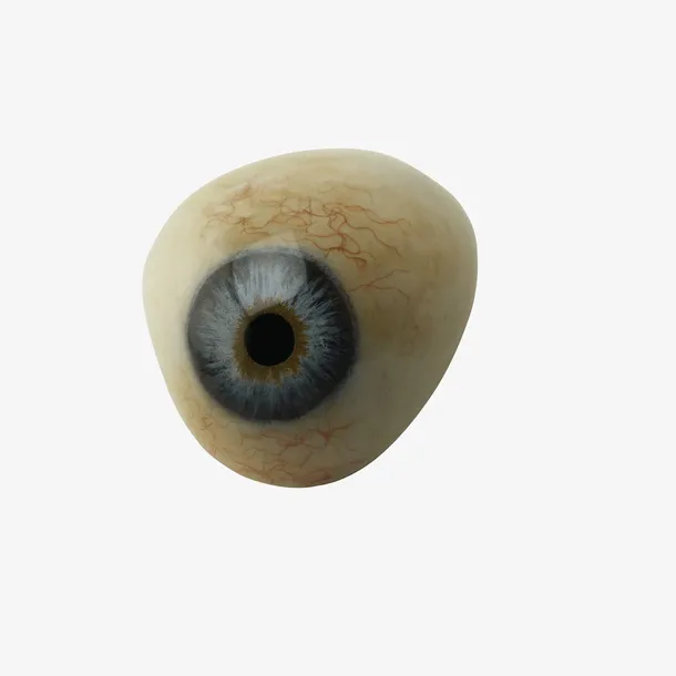 眼睛免抠