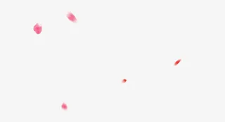 玫瑰花花瓣高斯模糊背景免抠素材