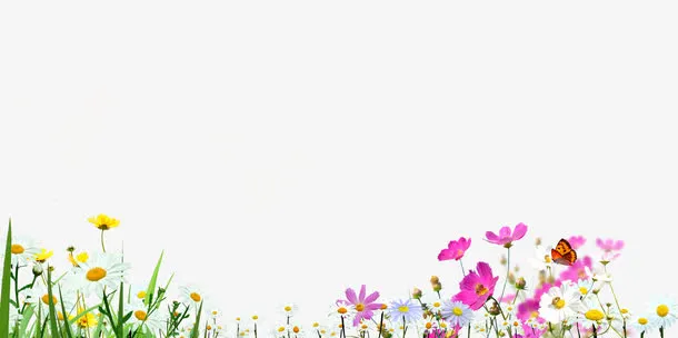野花菊花风景图免抠