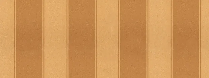 唯品会背景图高清