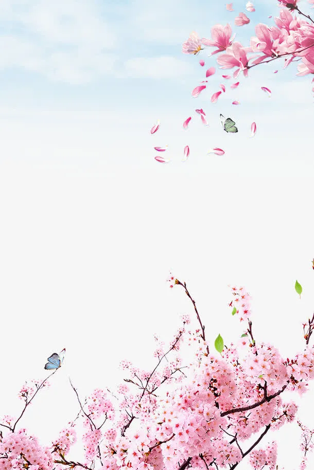 春季浪漫樱花装饰边框免抠
