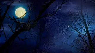 阴暗恐怖夜晚免抠