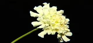 淘宝背景图高清