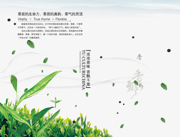 清新 绿色 电商茶艺 背景素材