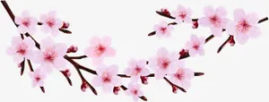 卡通桃花树枝装饰免抠