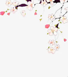 桃花枝头开手绘免抠