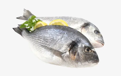 美食活斑鱼免抠 美食活斑鱼免抠
