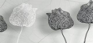 抽象背景图高清