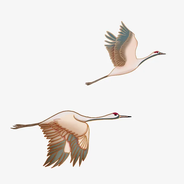 中国风仙鹤双飞免抠