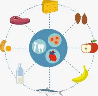 营养膳食免抠