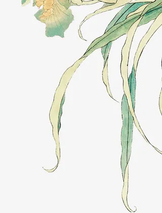 手绘绿叶 花瓣png素材免抠