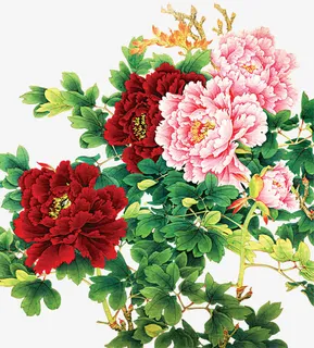 富贵花主题家和万事兴免抠 富贵花主题家和万事兴免抠