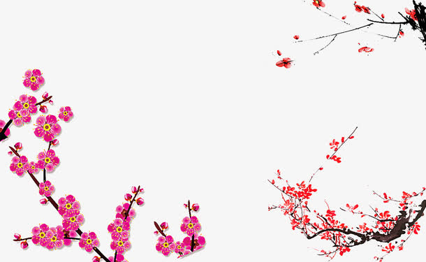 粉色梅花免抠