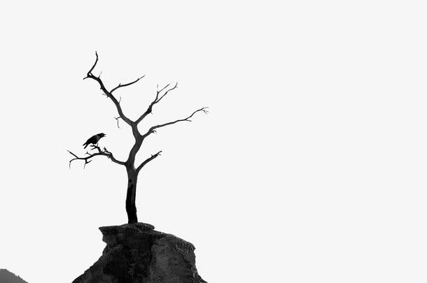 荒凉风景免抠