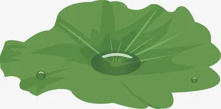 卡通荷花荷叶装饰插画免抠