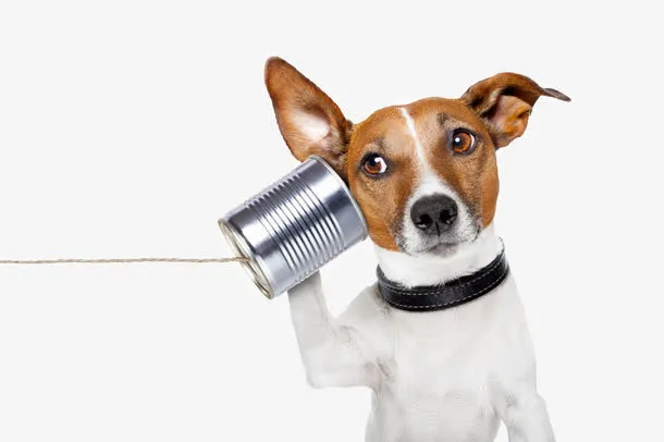 拿着听筒的狗免抠