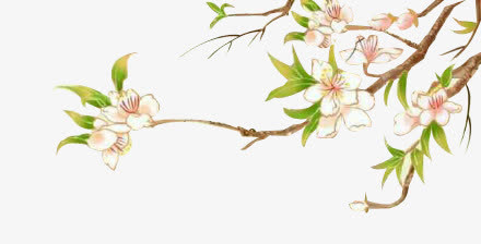 手绘的桃花枝免抠