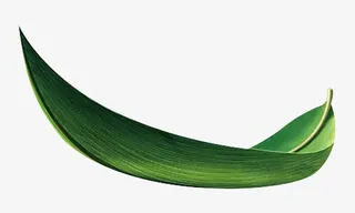 端午节,端午,粽叶,叶子免抠