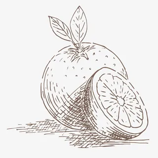 卡通手绘速写水果免抠