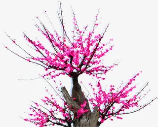 粉色唯美梅花创意免抠