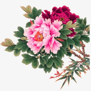 粉色牡丹树枝装饰图案免抠