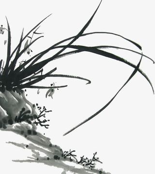 手绘中国风水墨植物免抠