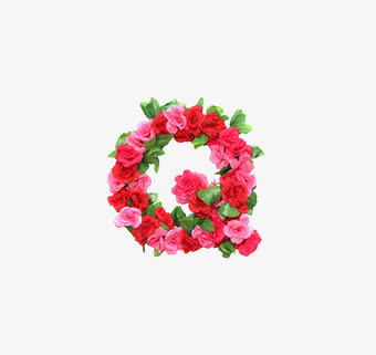 q英文字母花朵免抠