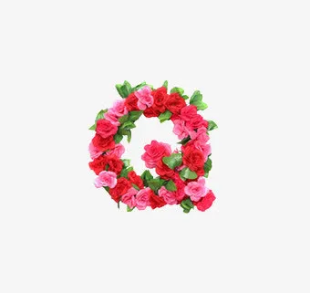 q英文字母花朵免抠