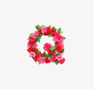 q英文字母花朵免抠