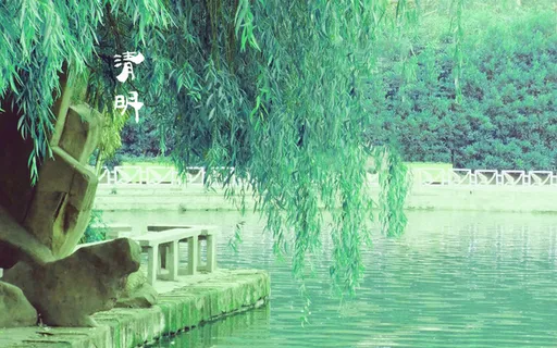 春天 四月 清明节 青团 海报 背景29