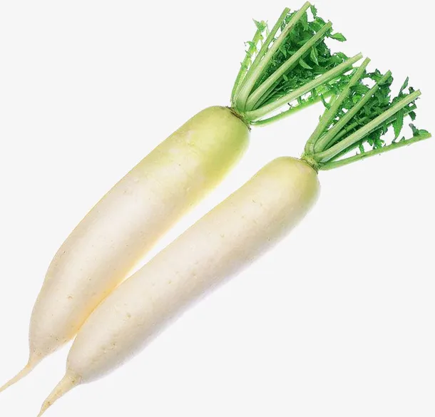 生鲜，蔬菜，萝卜，白萝卜免抠