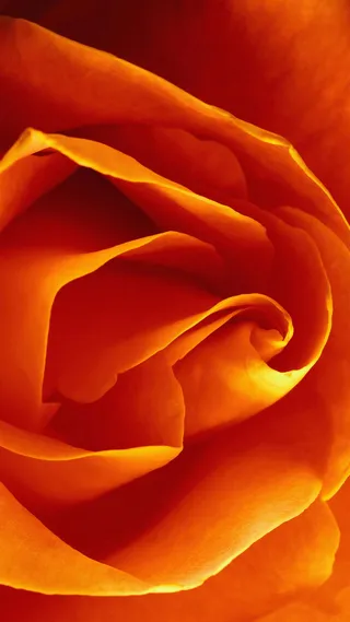 风景婚庆H5背景素材高清