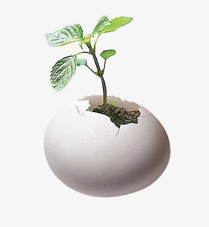 小树苗免抠