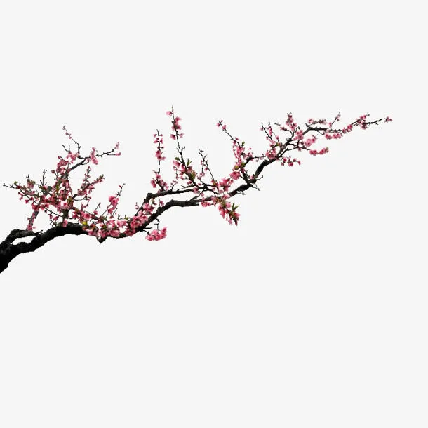 花花枝水墨桃花免抠