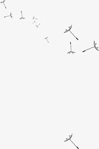 创意元素飞舞的蒲公英的种子免抠