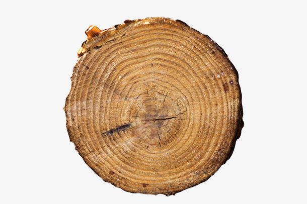 深棕色粗糙木头截面实物免抠