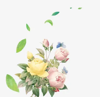 花卉专辑免抠