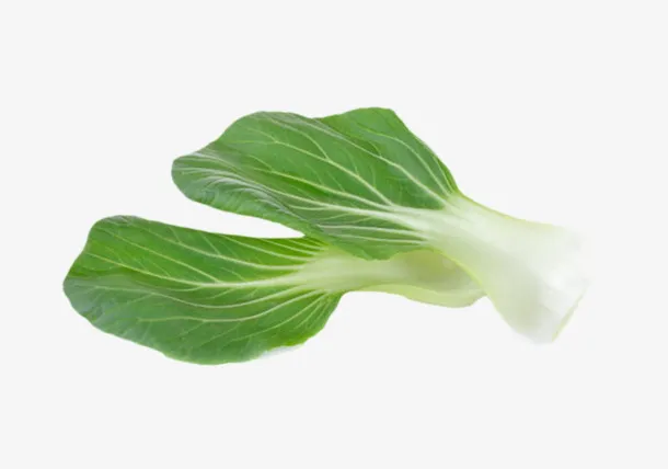 一颗绿色叶子的青菜实物免抠