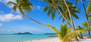 海滩背景图高清