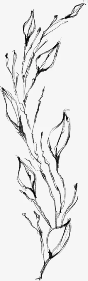 水墨植物元素14免抠