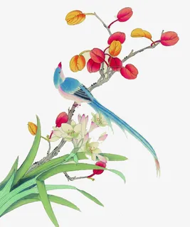 写意鸟类水彩中国风画免抠