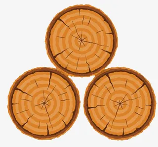 树的年轮图形免抠